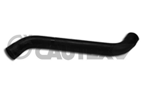 CAUTEX 186049 Radiator Hose