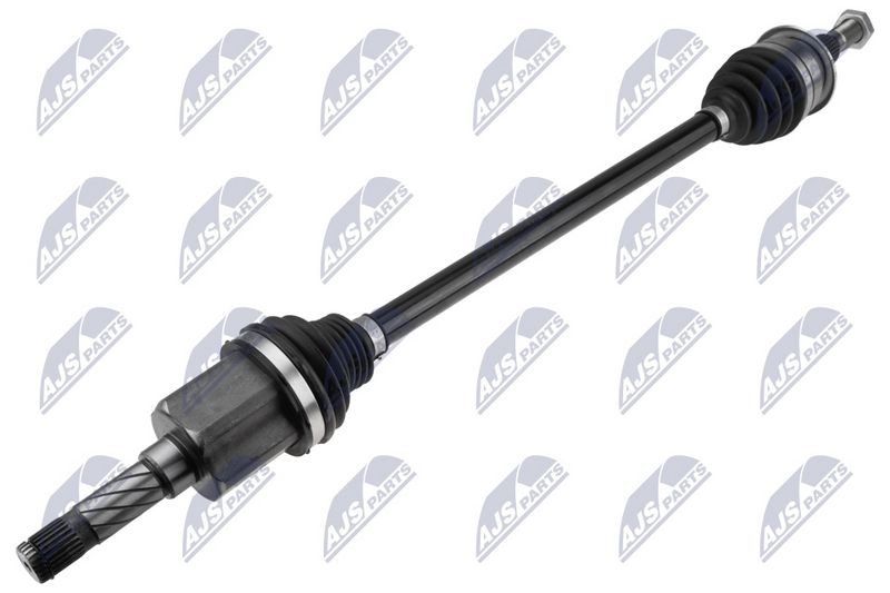 npw-fr-218_1-wm.JPG