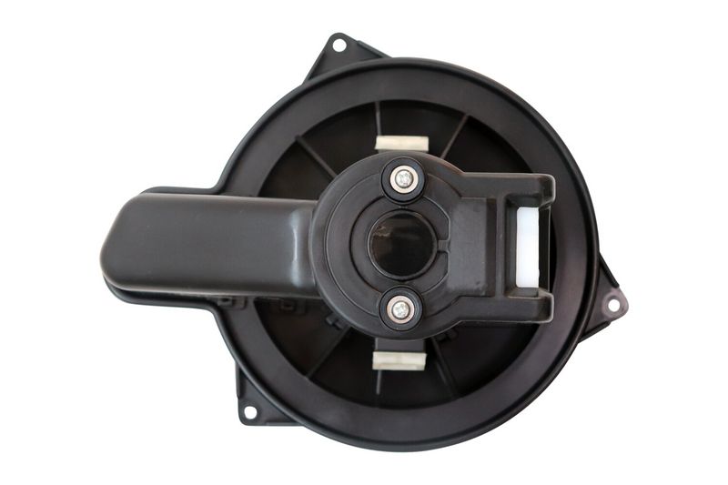 OEM код товара: 77366109