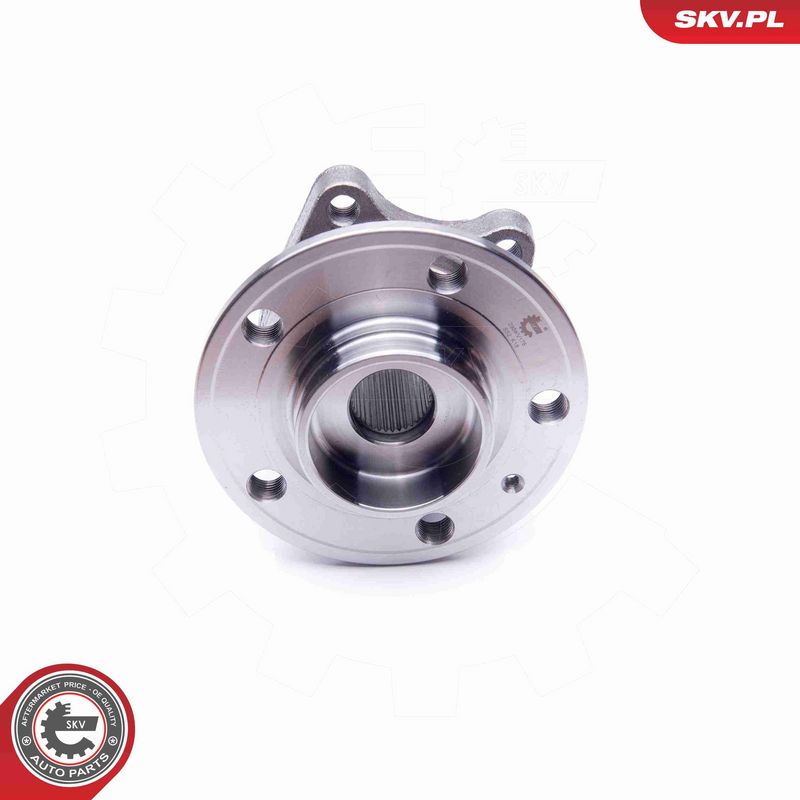 ESEN SKV 29SKV175 Wheel Bearing Kit