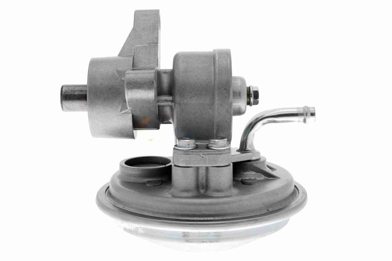 VAICO V25-1908 Mounting, engine
