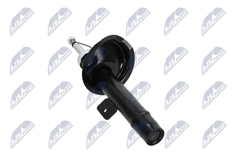Amort, NTY A-CT-020