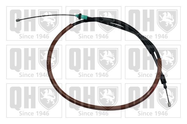 QH_BC4173.JPG