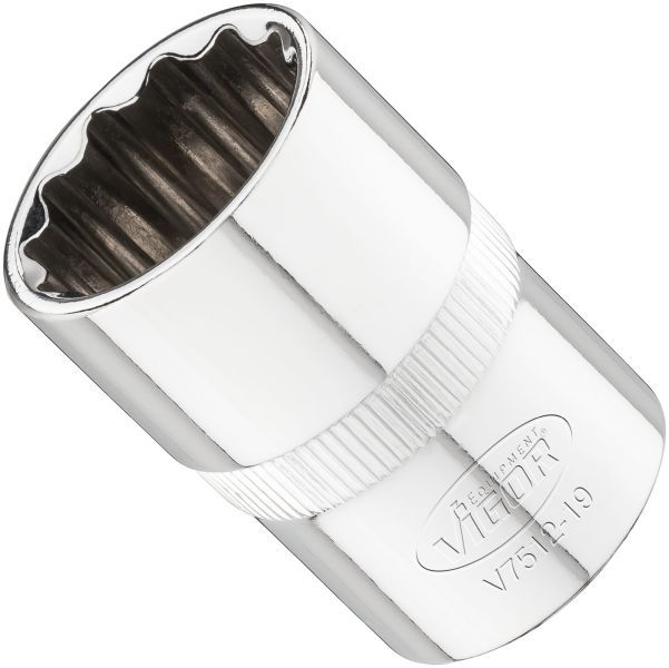 Padrun, VIGOR V7512-19