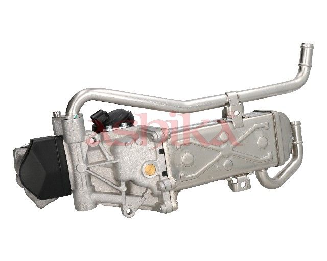 ASHIKA 150-00-0910 EGR Valve