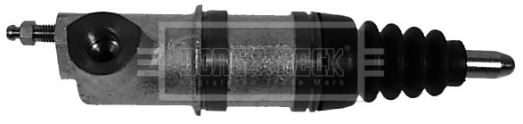 BES215_230772.JPG