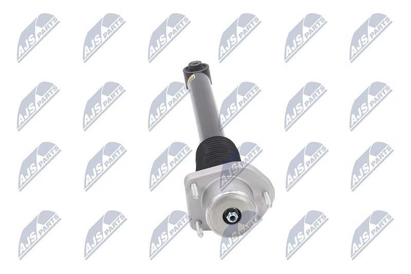 Amort, NTY A-LR-015