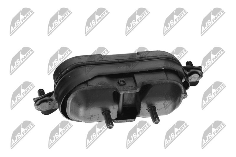 Paigutus, Mootor, NTY ZPS-CH-115