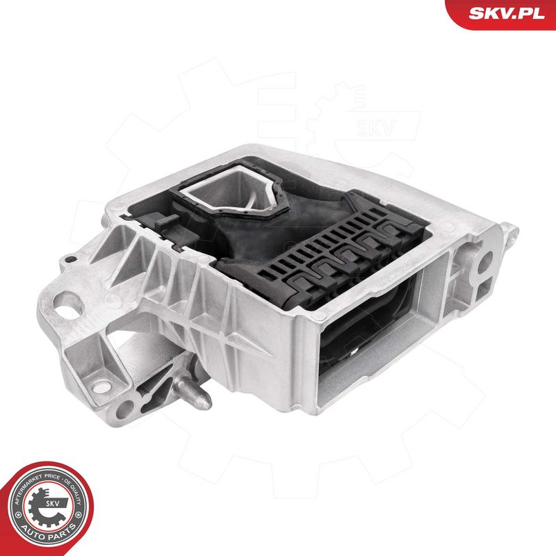 Paigutus, Mootor, ESEN SKV 75SKV301