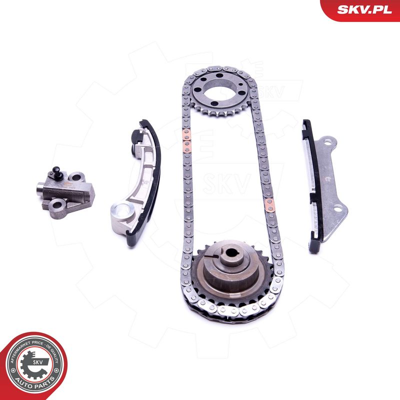 Mootori keti komplekt, ESEN SKV 21SKV205