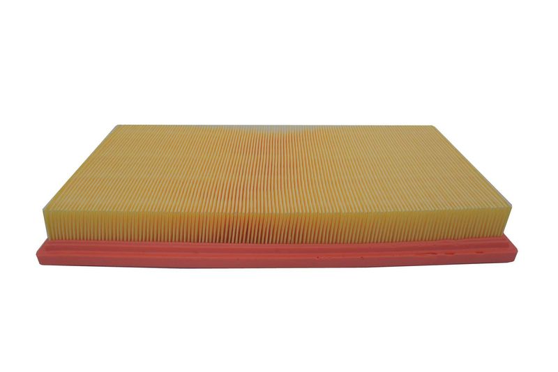 AUTOMEGA 180023010 Air Filter