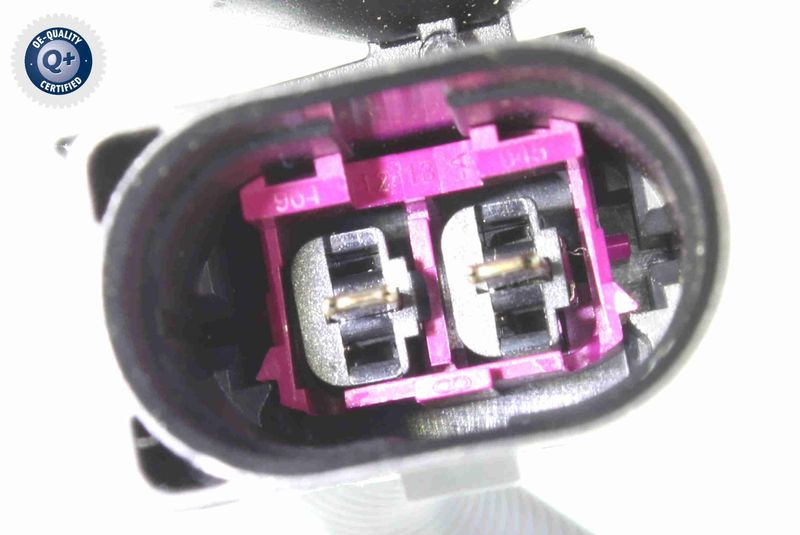 V10-09-1233_03.JPG