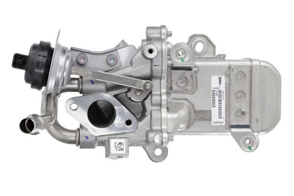 EGR VALVE_700488_02.JPG