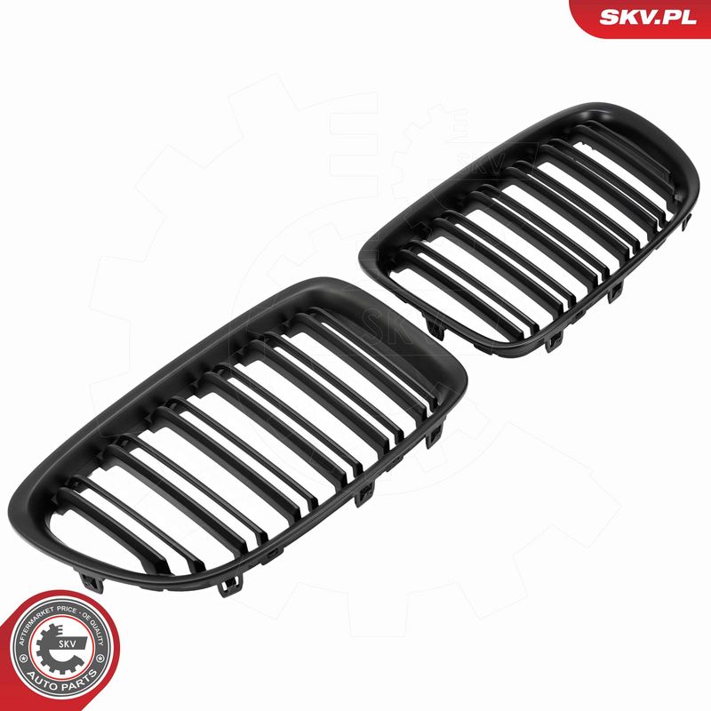 Radiaatorivõre, ESEN SKV 66SKV231