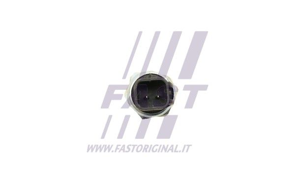 FT81011_3_1.JPG
