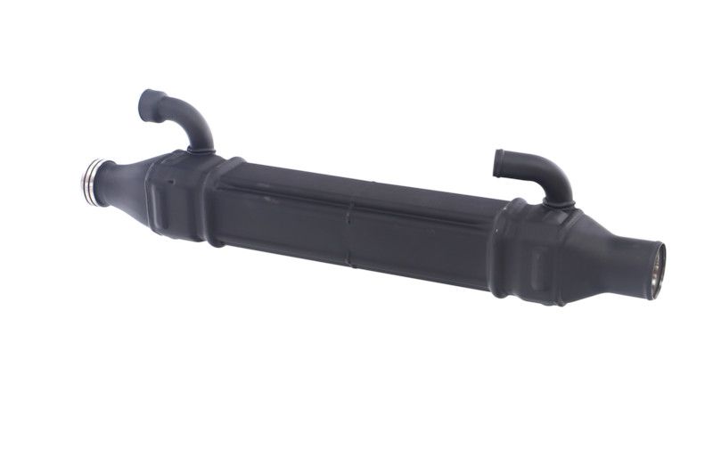 REMANTE 010-001-000022R EGR Module
