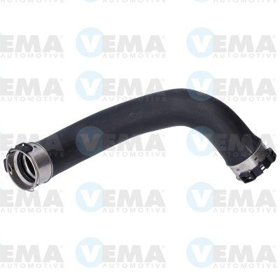 VE502071.JPG