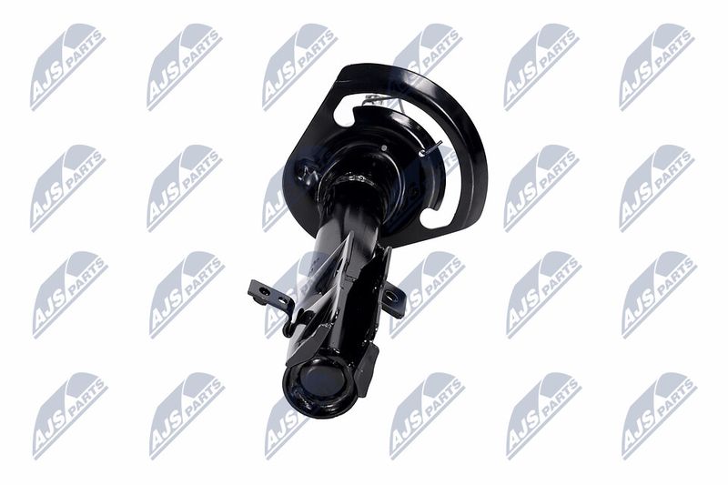Amort, NTY A-CH-056