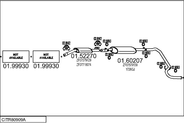 CITR80909A.JPG