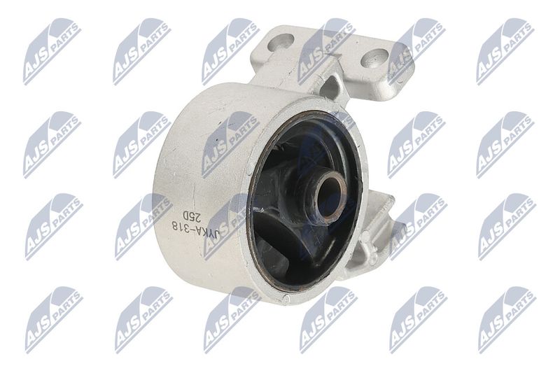 Paigutus, Mootor, NTY ZPS-KA-318