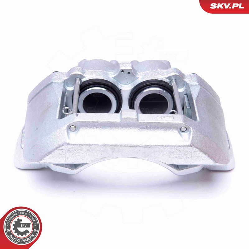 ESEN SKV 45SKV221 Brake Caliper