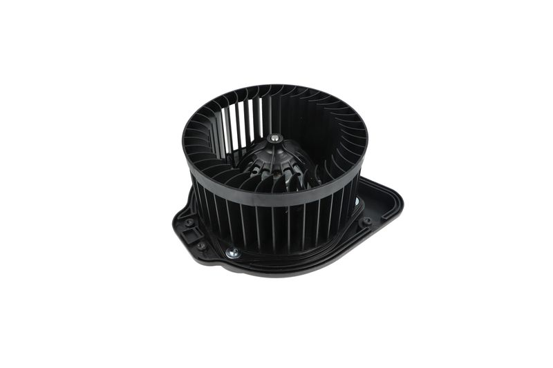 Salongipuhur, NRF 34136