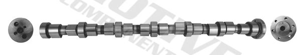 Product Sadales vārpsta MOTIVE T4282 Image
