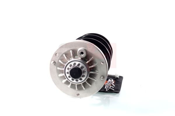 Vedruamort, GH GH-351594C03