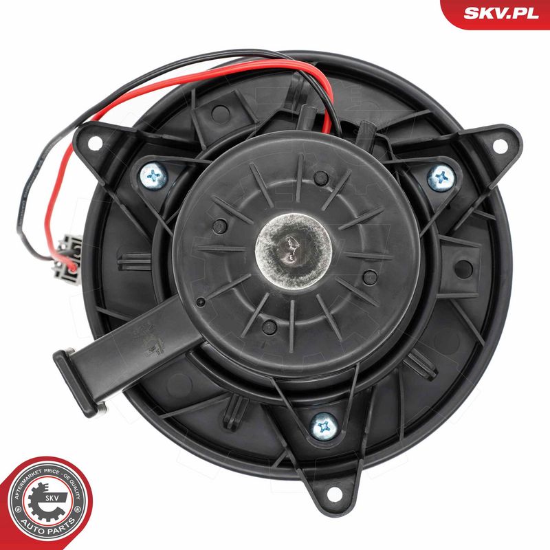 Salongipuhur, ESEN SKV...