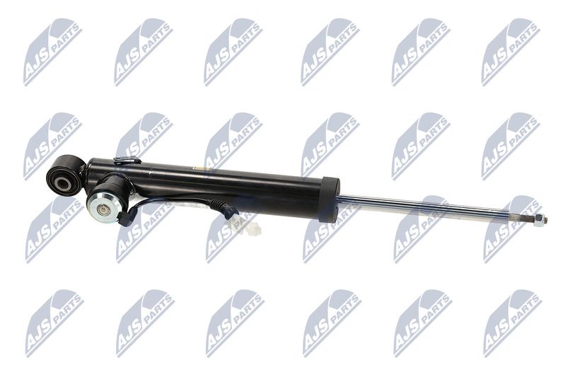 Amort, NTY A-PL-065