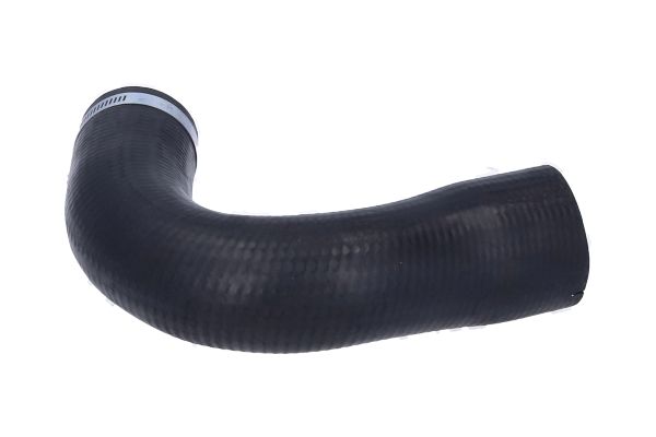 BIRTH 55956 Charge Air Hose