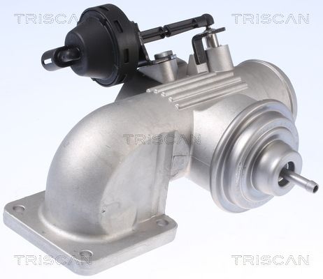 TRISCAN AGR-szelep 8813 29342