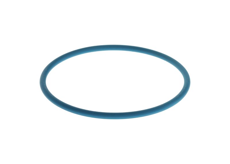 Inel cauciuc F 00N 204 925 BOSCH