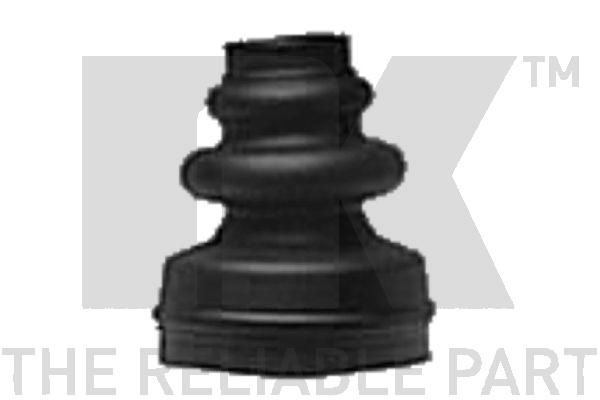 523708_1.JPG