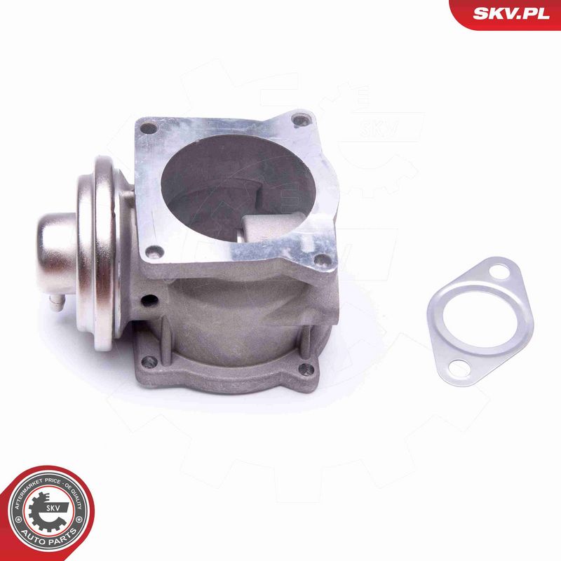 ESEN SKV 14SKV108 EGR Valve