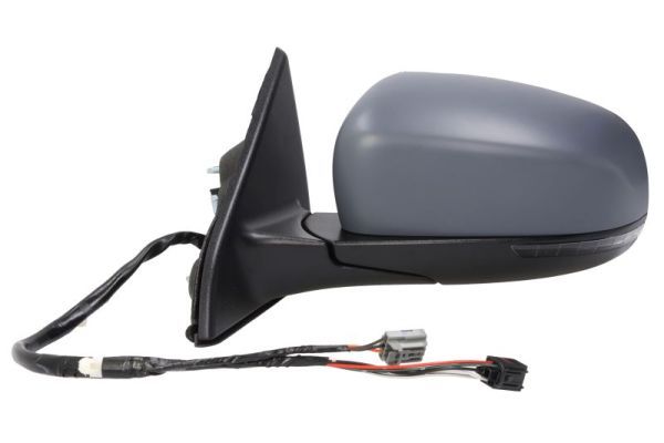 BLIC 5402-55-2222310P Exterior Mirror