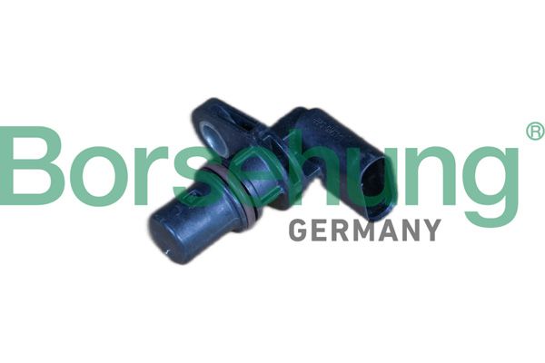 Andur, Nukkvõllipositsioon, Borsehung B11854