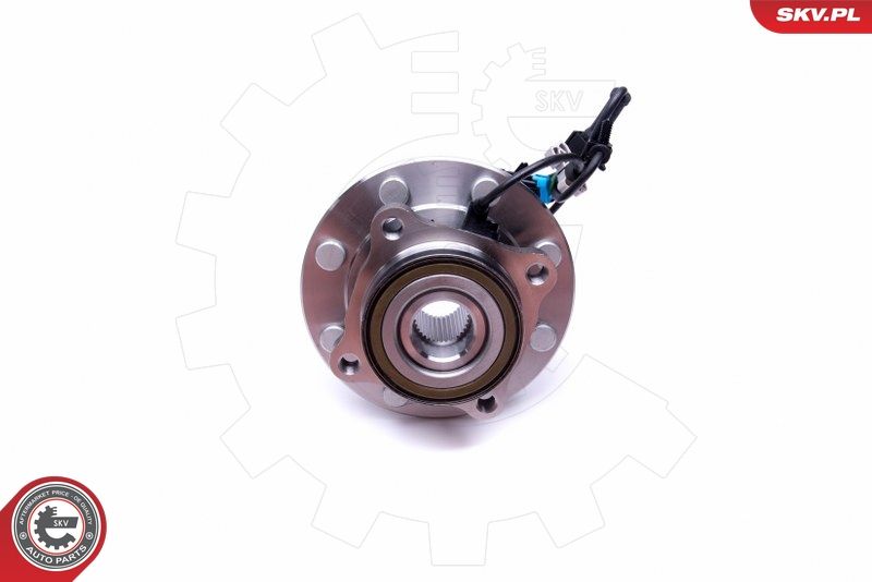 ESEN SKV 29SKV376 Wheel Bearing Kit