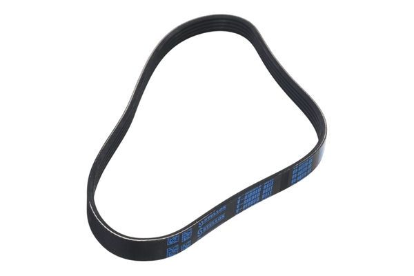 STELLOX 05-00775-SX V-ribbed Belt