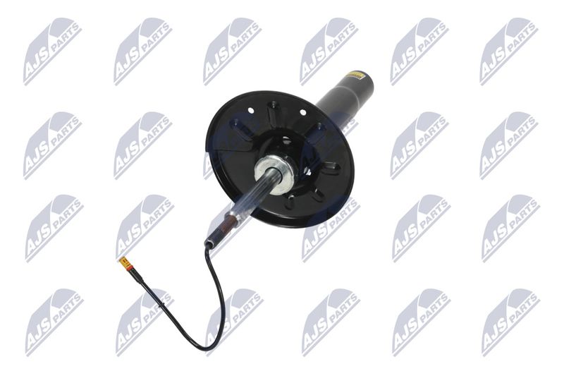 Amort, NTY A-PS-009