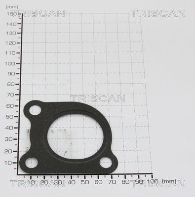 TRIS88139916.JPG