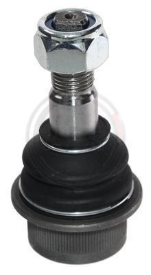 220039.JPG