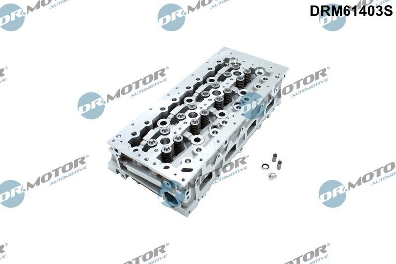 Dr.Motor Automotive Cilindro galvutė