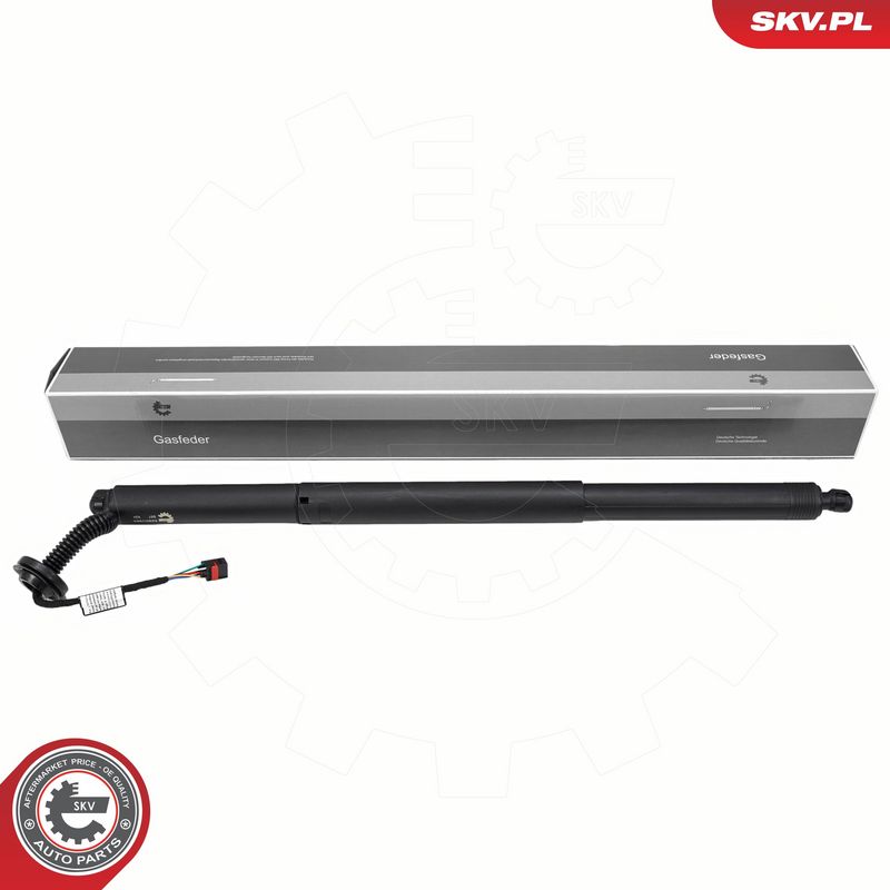 Elektrimootor, tagaluuk, ESEN SKV 52SKV993