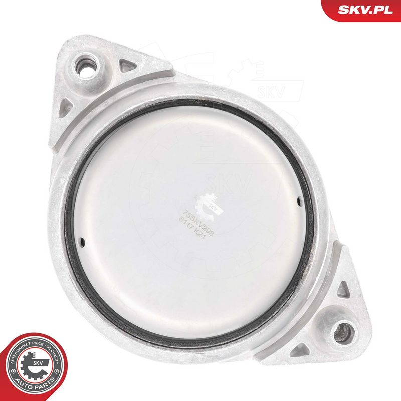 Paigutus, Mootor, ESEN SKV 75SKV298