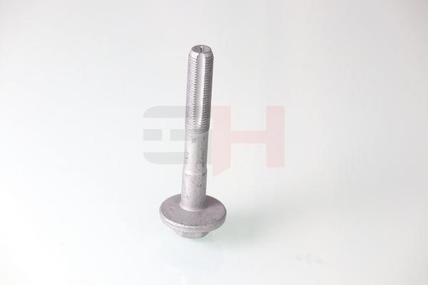 GH GH-399901 Camber Correction Screw