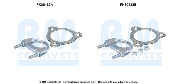 BM CATALYSTS szerelőkészlet, katalizátor FK80483