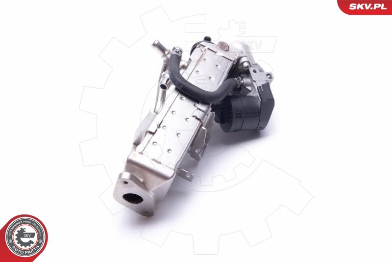 ESEN SKV 14SKV234 EGR Valve