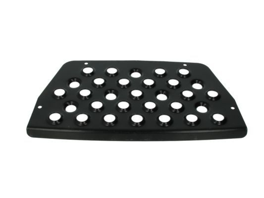 Türschwellen - Trittbrett