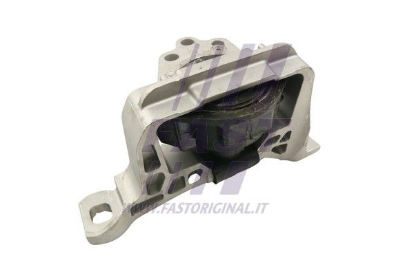 FT52030_3_1.JPG